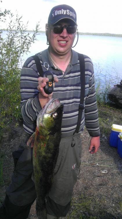 IMAG0022.thumb.jpg.2581b5416db9454cdc50b