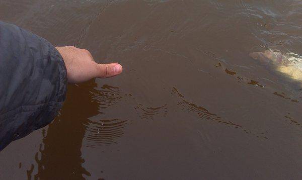 IMAG0400.thumb.jpg.3b2693ba360c374f5953f