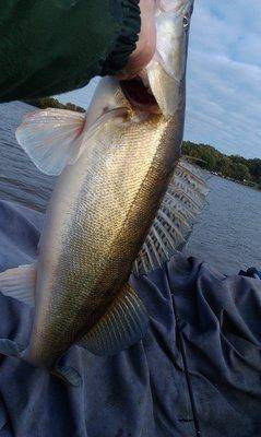 IMAG0430.thumb.jpg.a4c3ef6fe9f59f31e004f