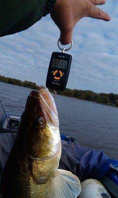 IMAG0432.thumb.jpg.616831252d9f0e3721c4f