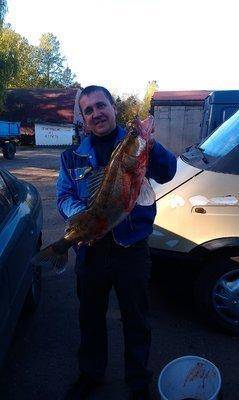 IMAG0436.thumb.jpg.46de789e1993f63528c45