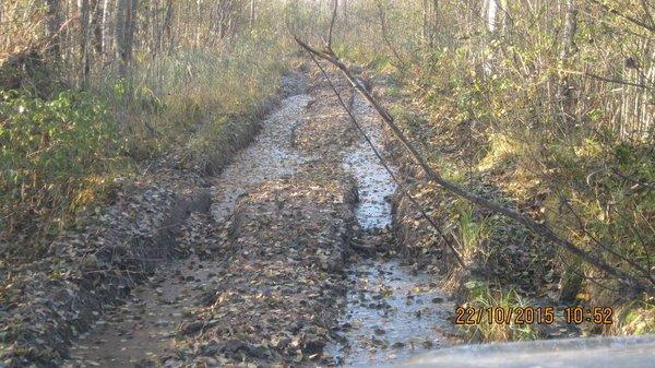 IMG_6033.thumb.JPG.f19c2da5d438a21f6f4fe