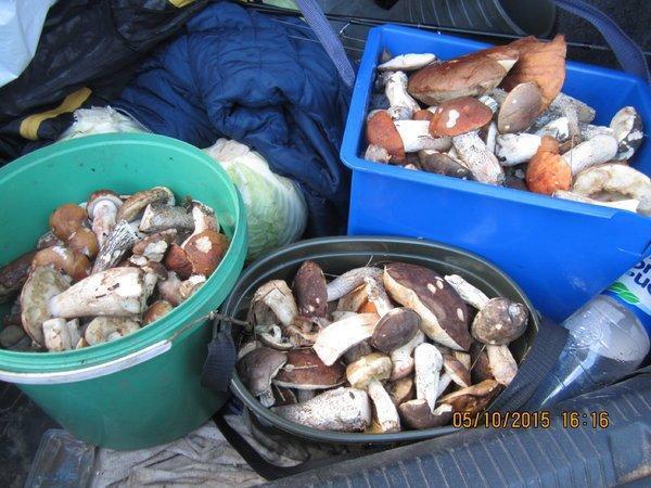 IMG_6706.thumb.JPG.ef0504335fdf0f2d22dc6