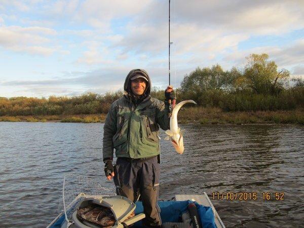 IMG_6864.thumb.JPG.8854aed35586dc4d49c41