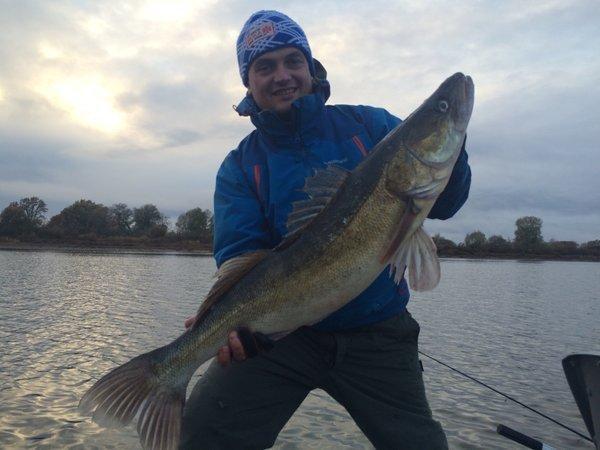 IMG_7239.thumb.JPG.ca436a308f6574258abd9