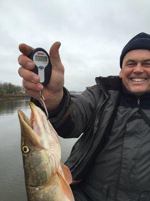 IMG_7263.thumb.JPG.0d4319f32433996b24822