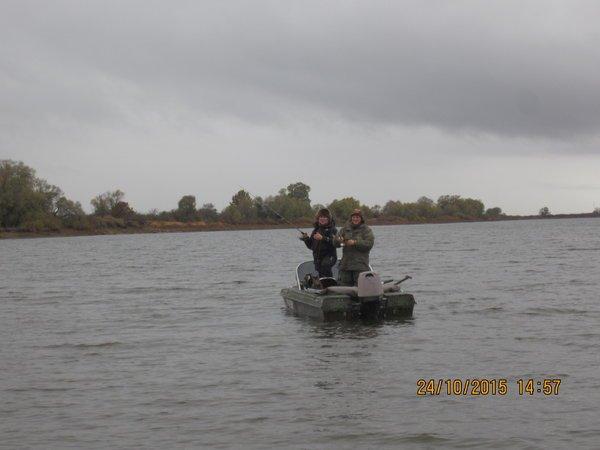 IMG_7391.thumb.JPG.02342de0ebb7d853f96b1