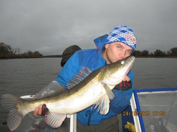 IMG_7401.thumb.JPG.de346cad58fd5f5989396