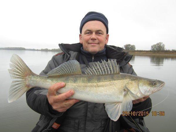 IMG_7473.thumb.JPG.f6a3c03ac6dd6d9377fc3