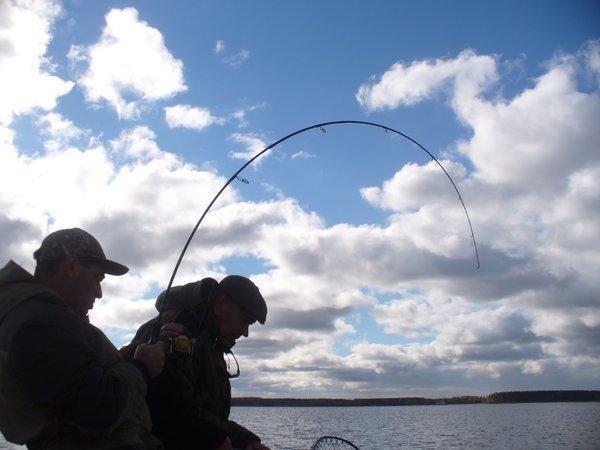 P1110308.thumb.JPG.4f6b931c42ff6cbe65723