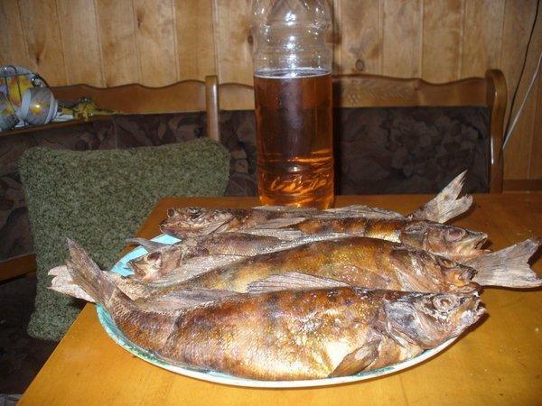 P1110315.thumb.JPG.9fb0f020ffec25bc8172f