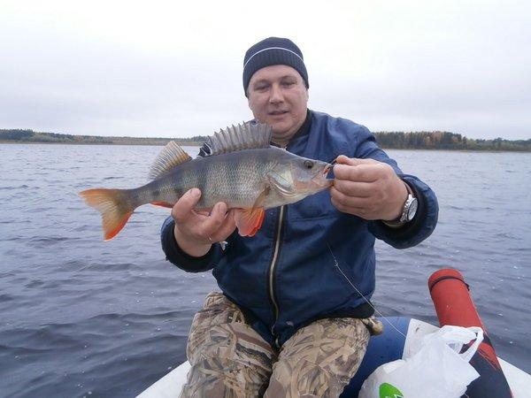 P9190463.thumb.JPG.18d8a7c7c2167e80d0e58