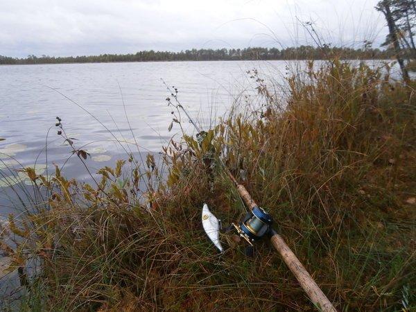 P9200471.thumb.JPG.7105234440516932693c4