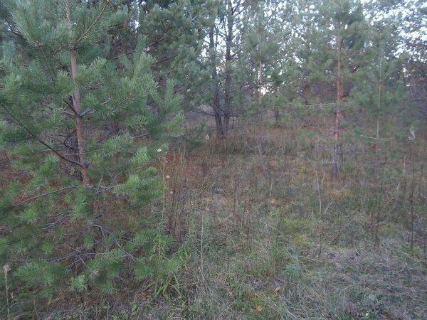 P9240491.thumb.JPG.eda612db5bd0c37a94641