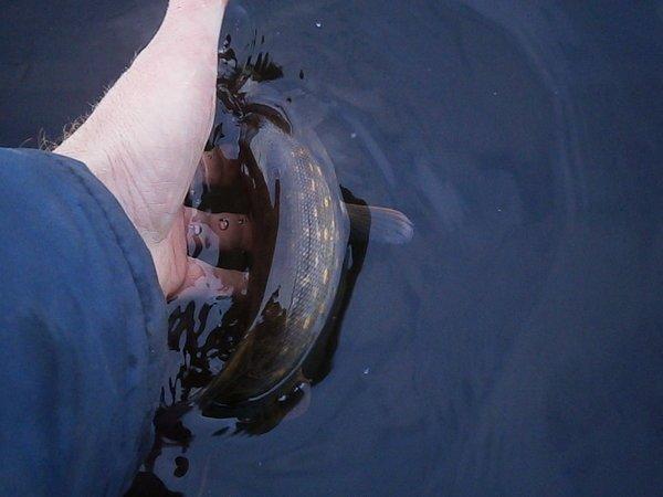 P9290525.thumb.JPG.f48e69bd793aad4711e17