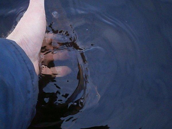 P9290527.thumb.JPG.0b9882f462453b232f812