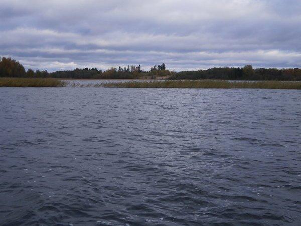 P9290529.thumb.JPG.18e6c41af1566d7434b55