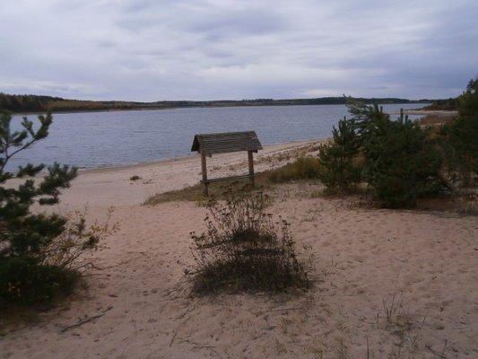 PA020177.thumb.JPG.8b03165a4304cb9d09004