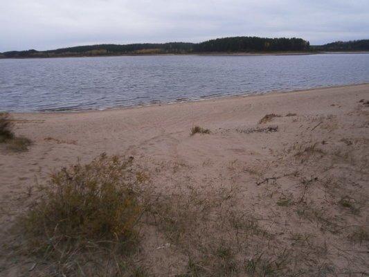 PA020179.thumb.JPG.ee72c84b1e717285e66f4