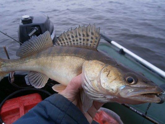 PA030186.thumb.JPG.f2e0fad5a47539099e310