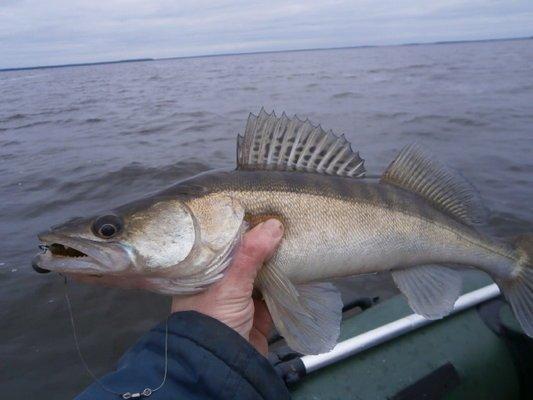 PA030190.thumb.JPG.3eedb75ad3c5199a7843f