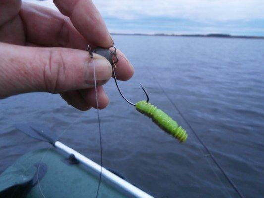 PA030210.thumb.JPG.f45a22425aa6787f1f9e4