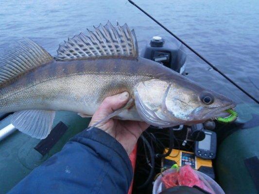 PA030211.thumb.JPG.9ef6fc4d3c10304b276db