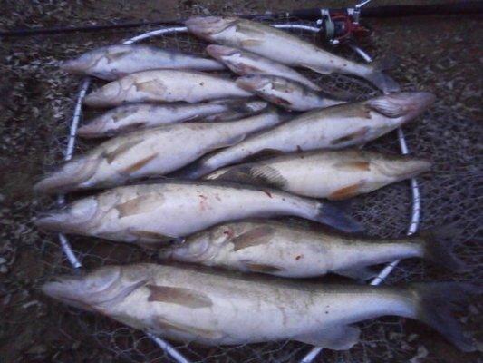 PA030213.thumb.JPG.920b876f45e14c511ff17