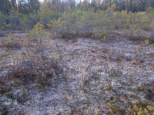 PA050215.thumb.JPG.bdd254f6f5afe14d081e7