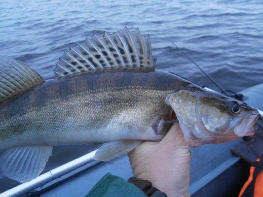 PA060225.thumb.JPG.fc5d53ce0109a8ffc8882