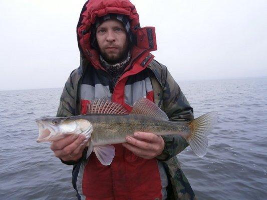 PA060229.thumb.JPG.d543b924ed9a30ebe5a14