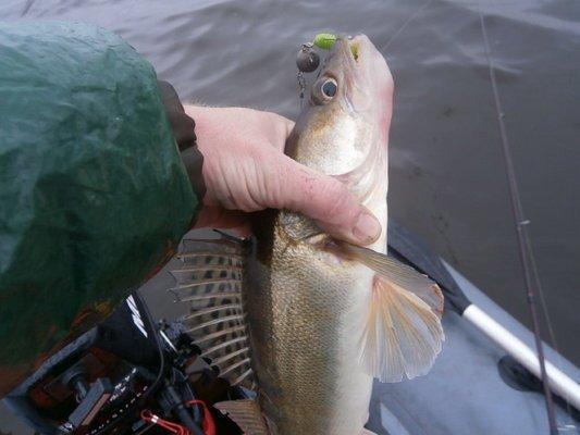 PA060230.thumb.JPG.141de57a809db6f4bba91