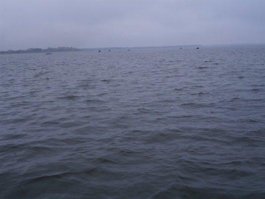 PA060231.thumb.JPG.a7eee778ef44f4ff75acc