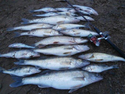 PA060235.JPG.d8f5350d10ee132cbe42316996b