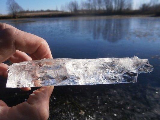 PA100255.thumb.JPG.055191262f3422abb3404