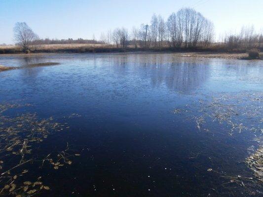 PA100256.thumb.JPG.4fd3193450b5f99fbb189