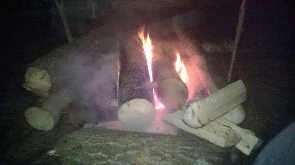 WP_20151024_021.thumb.jpg.621db3619f375e