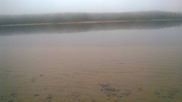 WP_20151025_010.thumb.jpg.93ea7da910b438