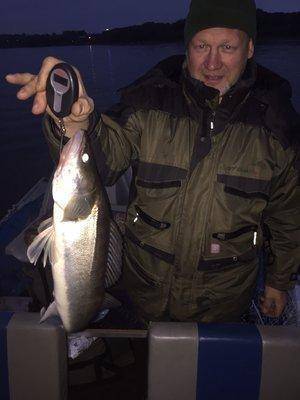 image.thumb.jpg.05b29baccfa703c902c57e16