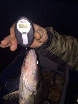 image.thumb.jpg.3ca18454799a15c7ab6b9e8d