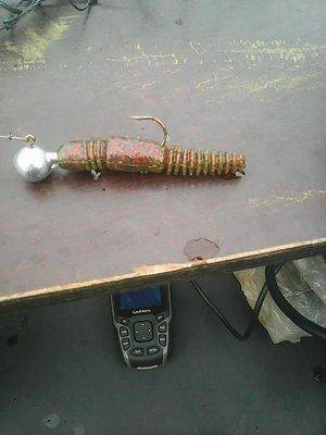 563635ff42045_1008.thumb.jpg.292ef6e7c0c