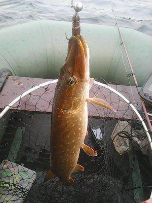 563636359fcd4_1011.thumb.jpg.7f72f327641