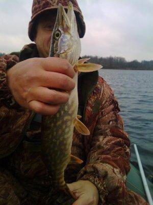 5637af16d0501_2011.thumb.jpg.1f35b089b43