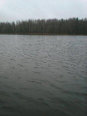 563a49520db9d_4001.thumb.jpg.22cd8f99f4e