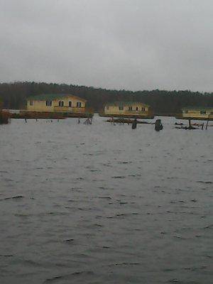 563a49cc7d941_4010.thumb.jpg.3dc7ab3b2d7