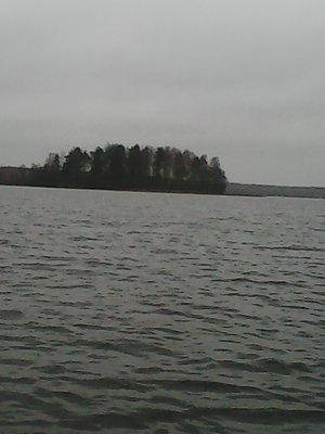 563a49f56611a_4019.thumb.jpg.63f25cefa70