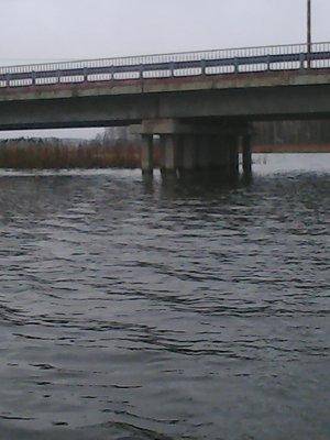 563a4a556cbea_4025.thumb.jpg.6cb66a57b45