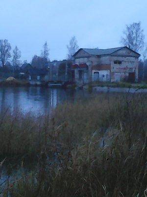 563a4a7244534_4034.thumb.jpg.38c3702f6e2