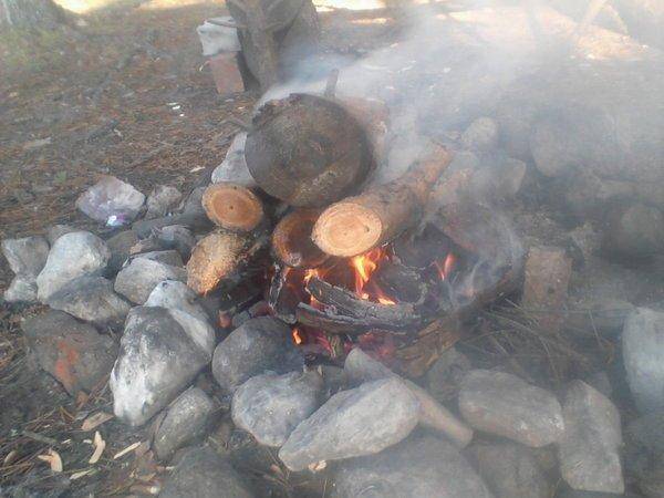 563cd76cb9294_-0011.thumb.jpg.94af8e9d77