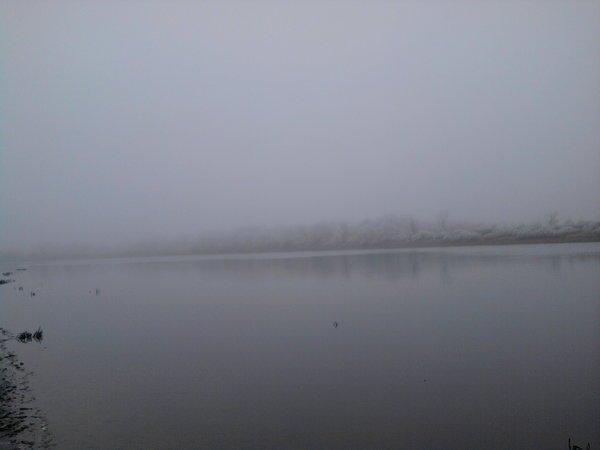 563e36e2b2cfc_0888.thumb.jpg.01bb1f6878d